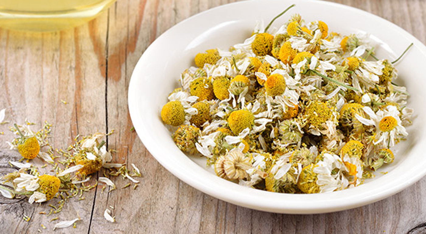 Súťaž o 2 ks kvalitných BIO sypaných čajov  