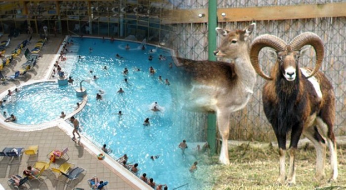 Ubytovanie v apartmáne Penziónu Pínia + karta zlia