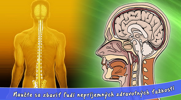 6 dňový kurz kraniosakrálnej terapie. Certifikované štúdium - pre masérov, fyzioterapeutov aj začiatočníkov.