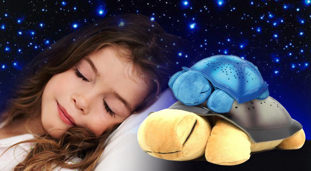 Svietiaca korytnačka. 