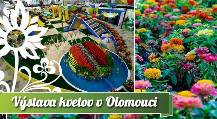 1-dňový zájazd na výstavu Flora Olomouc