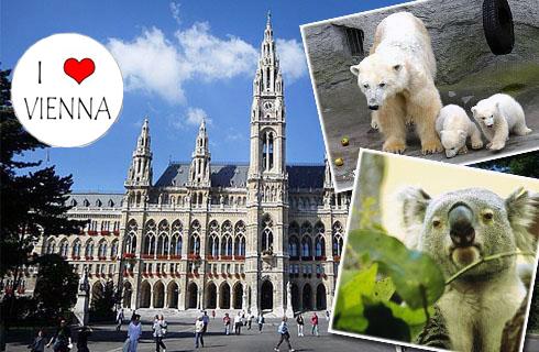 Spoznajte s nami krásu Viedne, navštívte s nami Sc