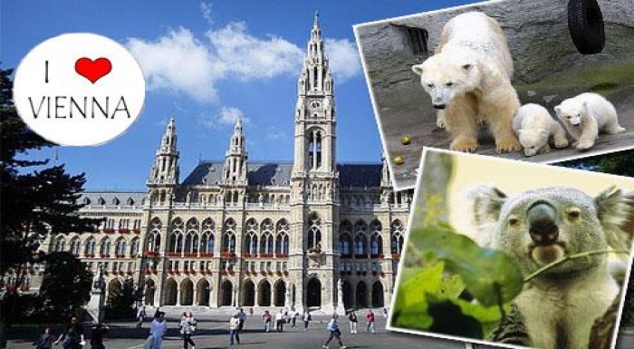 Spoznajte s nami krásu Viedne, navštívte s nami Sc