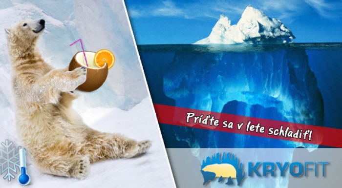 Kryokomora v Bratislave za super cenu. Posilnite svoj organizmus.