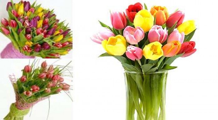 Krásna kytica tulipánov poteší určite každú ženu n