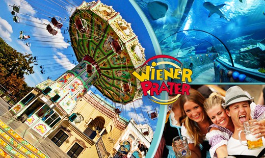 Deň plný zábavy v Podmorskom svete, v zábavnom par