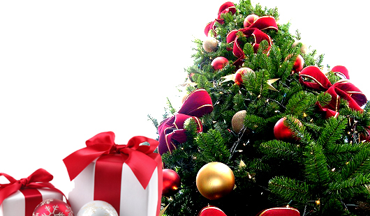 Nadeľte darčeky pod hustú vianočnú jedličku