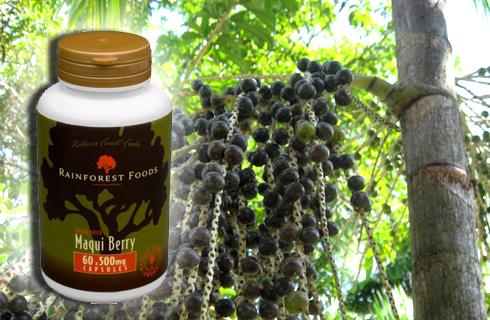 Spoznajte silu najúčinnejšieho antioxidantu Maqui 