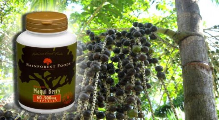 Spoznajte silu najúčinnejšieho antioxidantu Maqui 