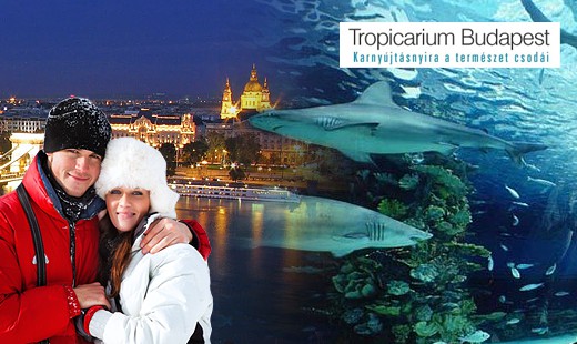 Úžasný 1-dňový zájazd do Budapešti a Tropicaria so