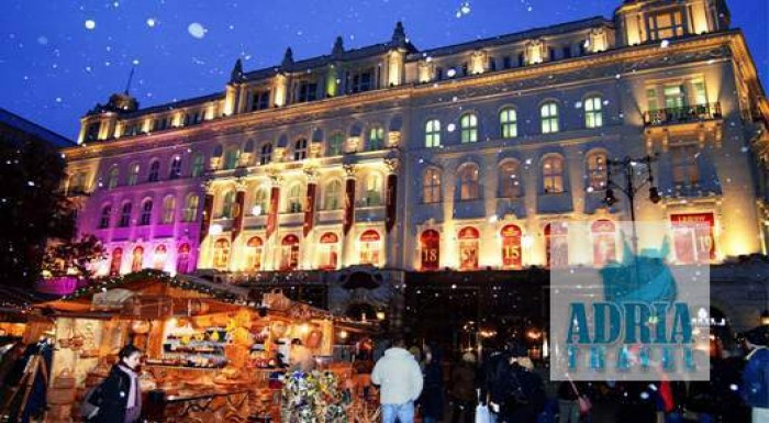 Zažite krásu Budapešti a Tropikária v predvianočno