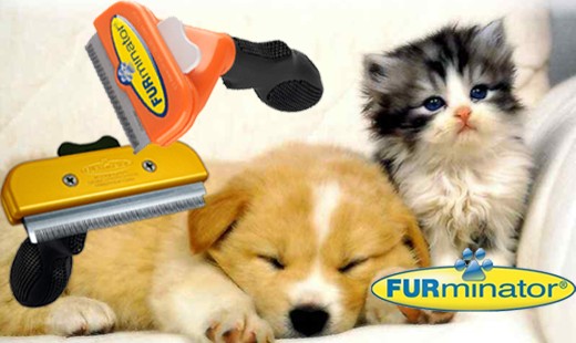 Profesionálny hrebeň FURminator Vás zbaví problémo