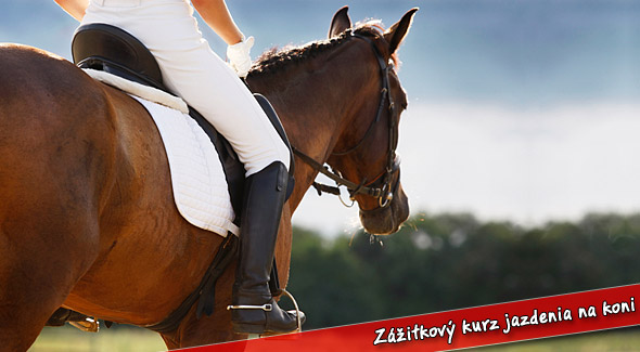 6 hodinový kurz jazdenia na koni + 2 hodinová prechádzka. Jazdecká škola Čunovo.