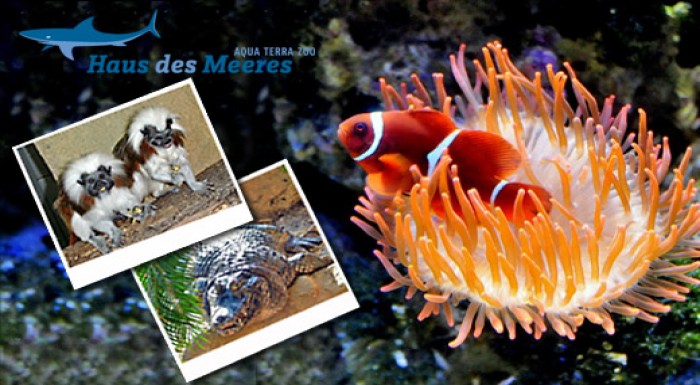 DOM MORÍ vo Viedni- svet nekonečných hlbín a prale