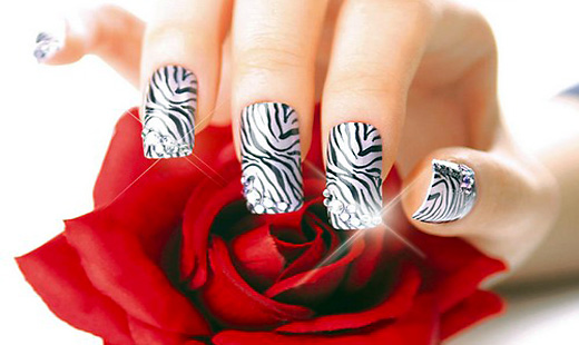 Zdobiaca sada na nechty