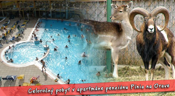 3 úžasné dni pre DVOCH + ďalšie bonusy. Ubytovanie v Penzióne Pínia.