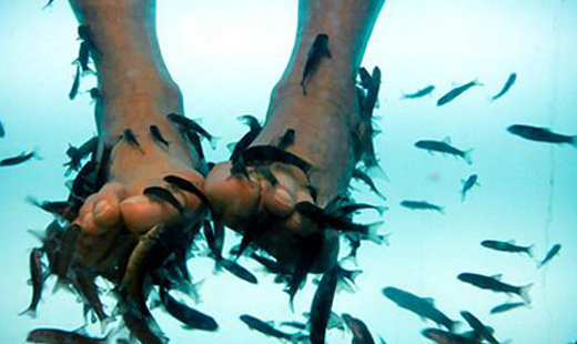 30 minútová prírodná pedikúra a masáž chodidiel ry