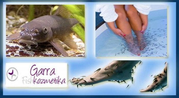 30 minútová prírodná pedikúra a masáž chodidiel ry