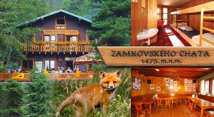 Zamkovského chata