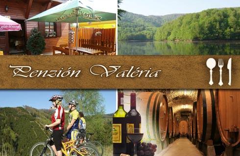 Len 93 €/2 osoby/2 noci  v penzióne Valéria v blíz