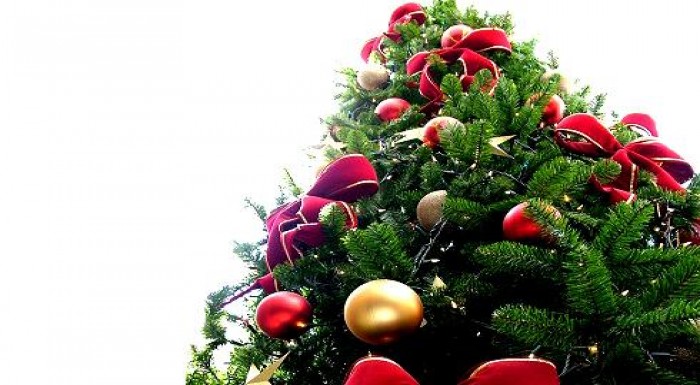 (190 cm) Ušetrite živé stromčeky a nadeľte darčeky