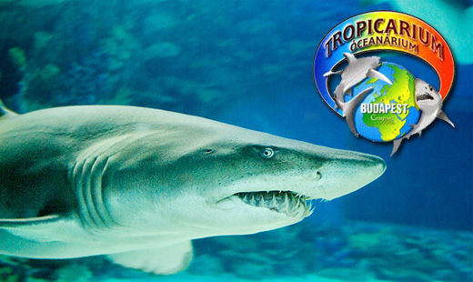 Tropicarium Ocenarium v Budapešti