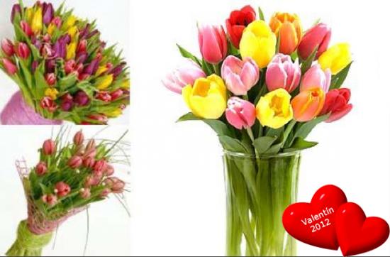 Krásna kytica tulipánov poteší určite každú ženu n