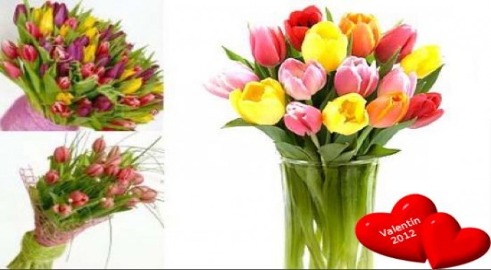 Krásna kytica tulipánov poteší určite každú ženu n