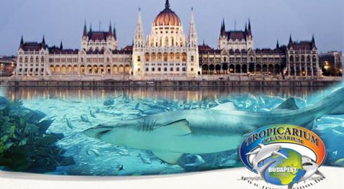 Poznávací 1-dňový zájazd do Budapešti, spojený s n