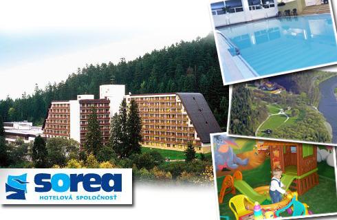 105,5 €/3 DNI/2 OSOBY s polpenziou,voľným vstupom 