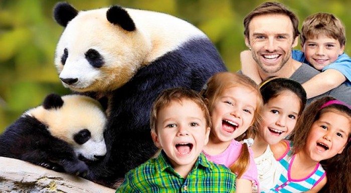 Celodenný zájazd do viedenskej zoologickej záhrady