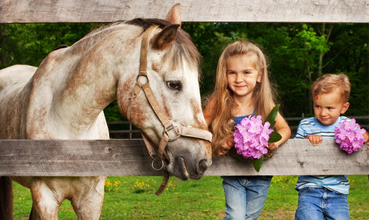 Zažite pobyt plný dobrodružstva!