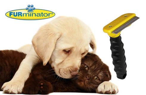 Ak Vás trápia chlpy z Vášho domáceho miláčika, mám