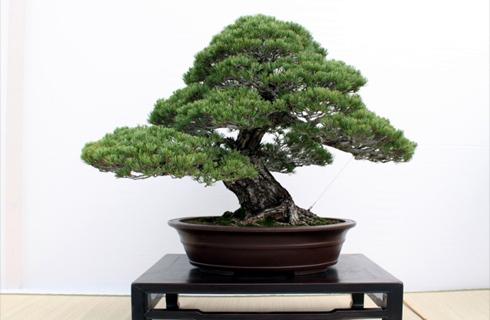 Aj vy túžite po malej milej dekorácii do vašej dom