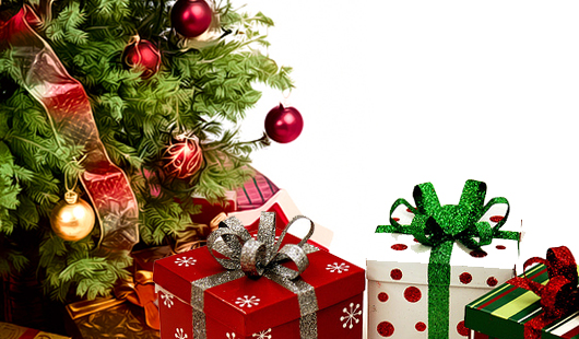 Hustá vianočná jedlička 170 cm