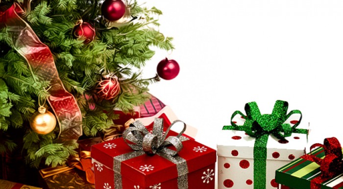 Hustá vianočná jedlička 170 cm