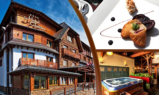 Trojchodové menu so vstupom do wellness pre 2 osob