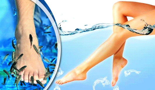 Kúpele s rybičkami Garra rufa