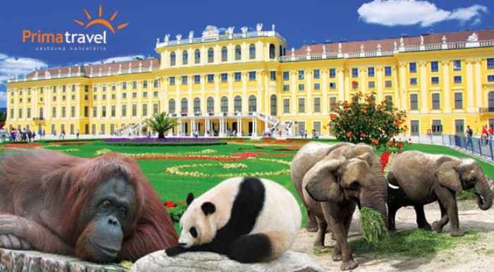 Jednodňový zájazd do Viedne - ZOO a Schönbrunn