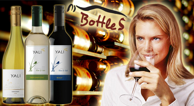 Čilské vína - na výber 9 druhov