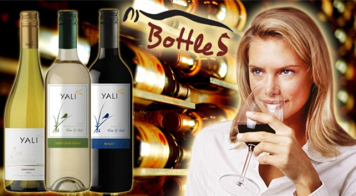 Čilské vína - na výber 9 druhov