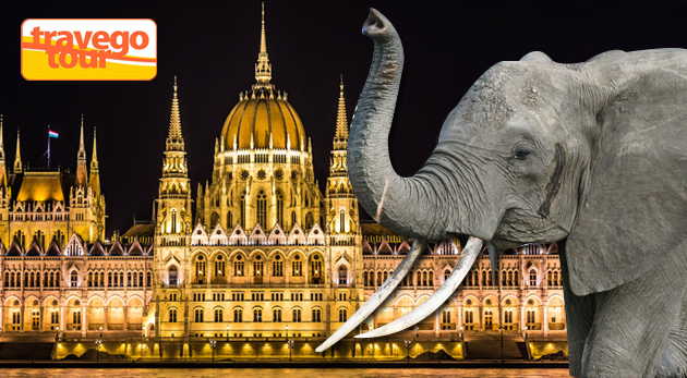 Návšteva Tropicaria a ZOO v Budapešti