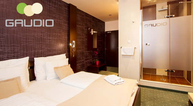 Relax v Hoteli Gaudio*** v Bratislave
