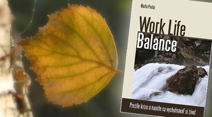 Kniha  Work Life Balance - Prežite krízu a naučte sa vychutnávať si život.