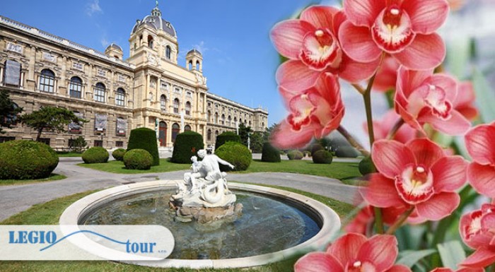 Výstava orchideí v Klosterneuburgu