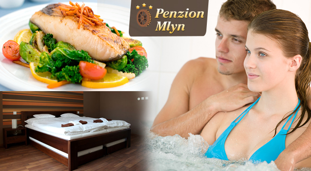 Relax v Penzióne Mlyn na brehu Dunaja