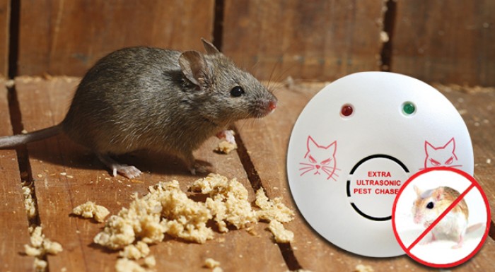 Ultrazvukový odpudzovač hlodavcov
