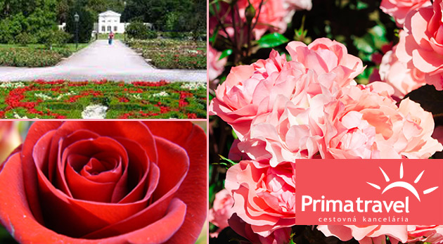 Slávnosť ruží a záhada Mayerlingu