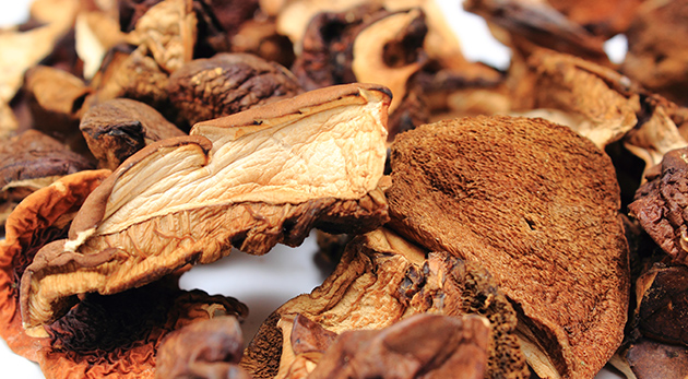 Pestovateľský mix 8 druhov húb