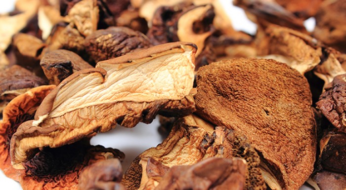 Pestovateľský mix 8 druhov húb